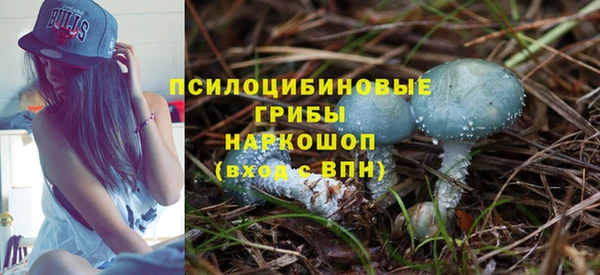 прущие крисы Балабаново