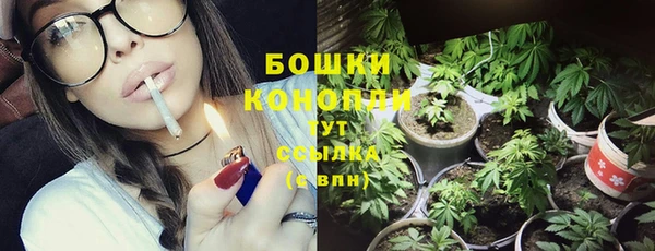ГАЛЛЮЦИНОГЕННЫЕ ГРИБЫ Балахна