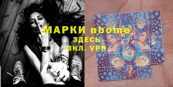 дурь Сатка